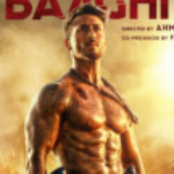 Profile photo of bandara