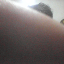 Profile photo of SHIFAN KAMAL