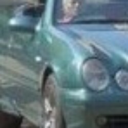 Profile photo of tilaka