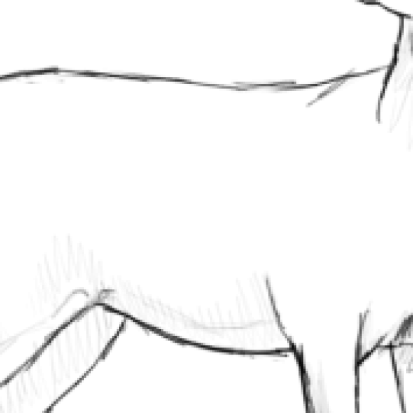 Profile photo of haaaazzz