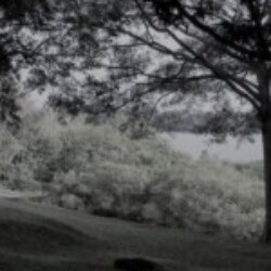 Profile photo of cham