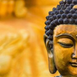 Profile picture of LovelyBoy (not a Gay)