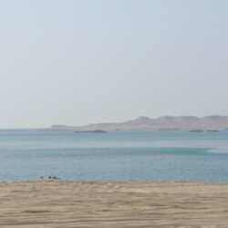 Profile photo of JFERNANDOSC747