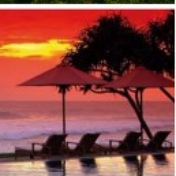 Profile photo of Sas Fdo