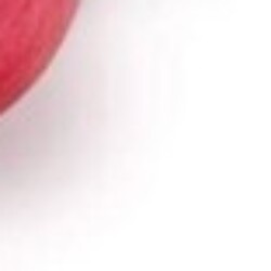 Profile picture of Ravindra