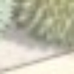 Profile photo of Madusanka