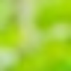 Profile photo of Dilshan