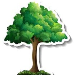 Profile photo of Vshmi