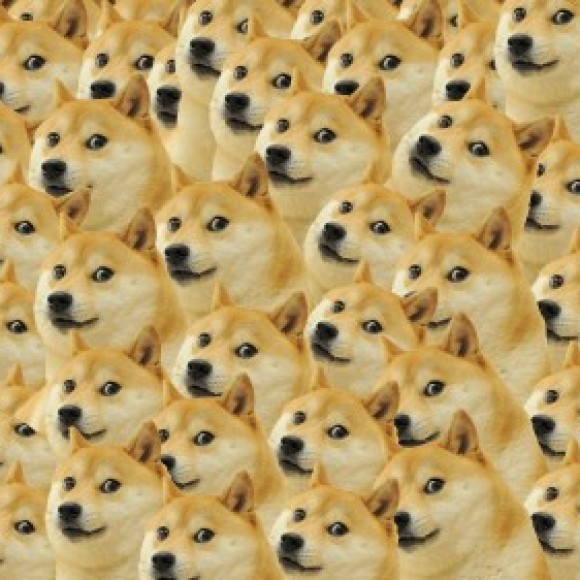 Profile photo of stephan steve