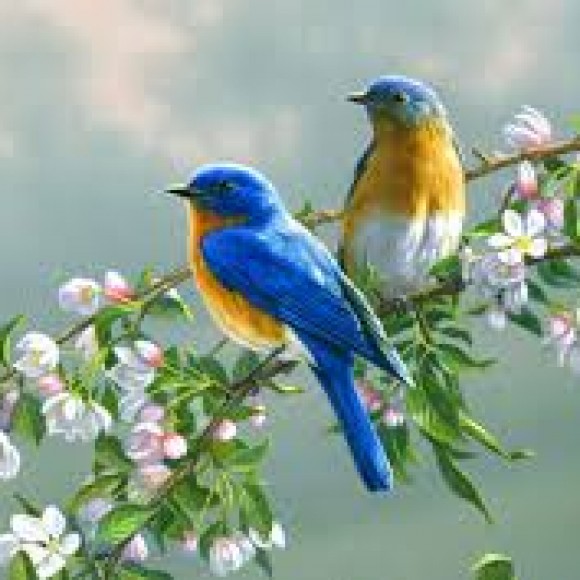 Profile photo of Andel