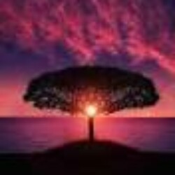 Profile picture of irfan