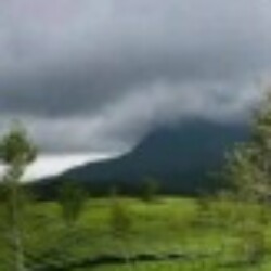 Profile picture of Mr_j