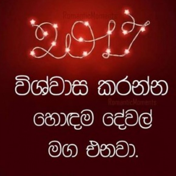 Profile photo of shiran shiran