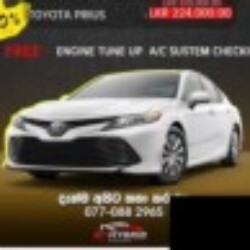 Profile photo of A Niroshana