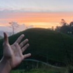 Profile photo of Supun Niluka