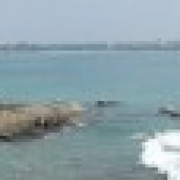 Profile photo of Didiz