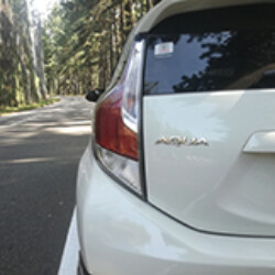 Profile photo of Buddika