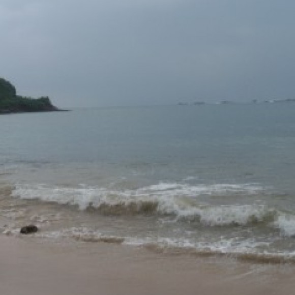 Profile photo of Shehan1991