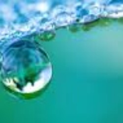 Profile photo of Shanaka