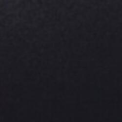 Profile photo of Sebastian