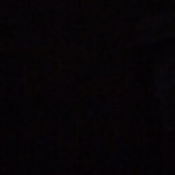 Profile photo of Rotate