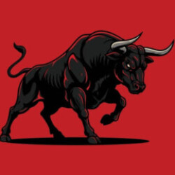 Profile photo of BigBULL