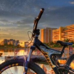 Profile picture of Rayan