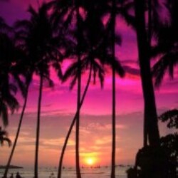 Profile photo of Rio