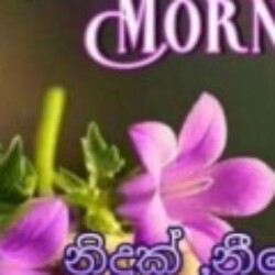 Profile photo of Sarath