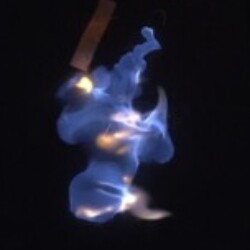 Profile photo of Shan