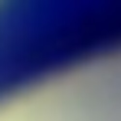 Profile photo of Rasin