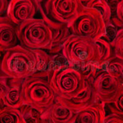 Profile photo of Charlli