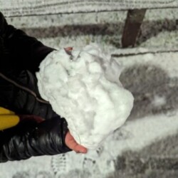 Profile photo of Sam