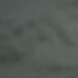 Profile photo of chami1