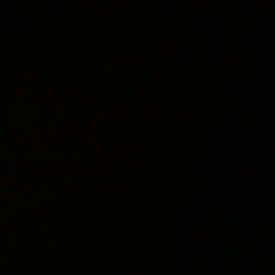 Profile photo of samadi