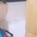 Profile photo of Ryan