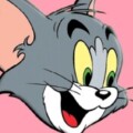 Profile photo of Harsha
