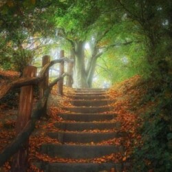 Profile photo of Supun