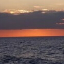 Profile photo of Lakmal