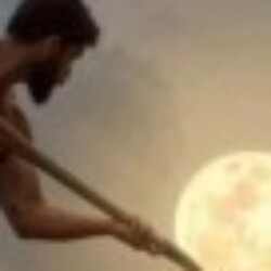 Profile photo of Shairo