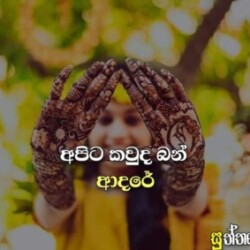 Profile photo of Madhu