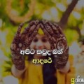 Profile photo of Madhu