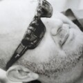 Profile photo of Bruno