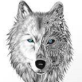 Profile photo of White Wolf