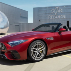 Profile photo of Sam