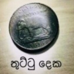 Profile photo of Prasad Bandara