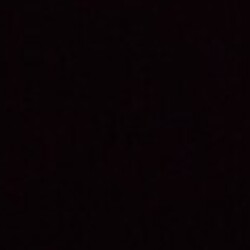 Profile photo of Dhana