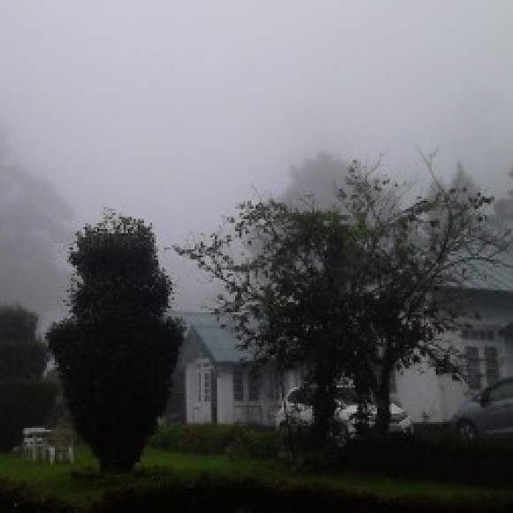 Profile photo of Evindu