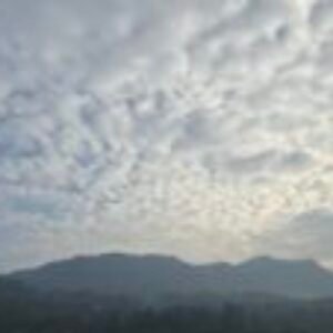 Profile photo of Ashi