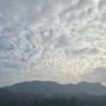 Profile photo of Ashi